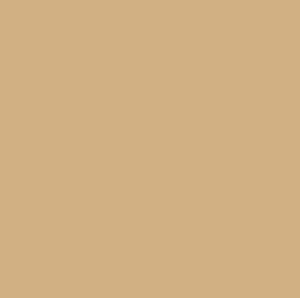 RAL 1001 opaco