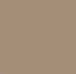 RAL 1019 opaco