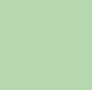 RAL 6019 opaco