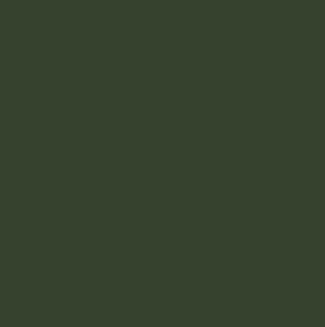 RAL 6020 opaco