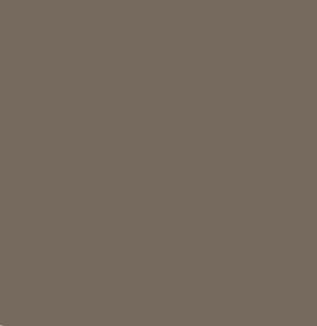 RAL 7006 opaco